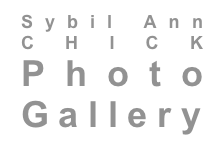 Sybil Ann CHICK Photo Gallery
                                